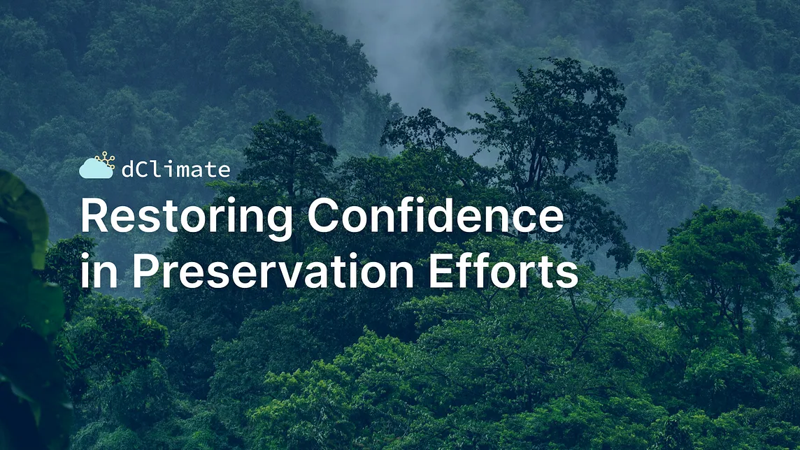 Restoring Confidence in Forest Preservation Efforts