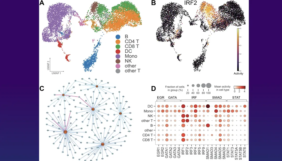 Unveiling the Hidden Code of Life: A New Approach to Gene Regulatory Network Inference