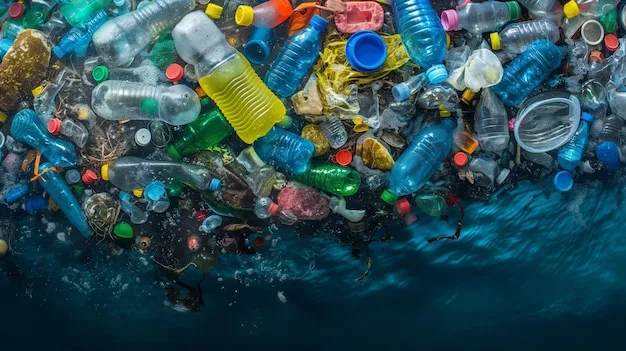 How can we fix our plastic waste problem?