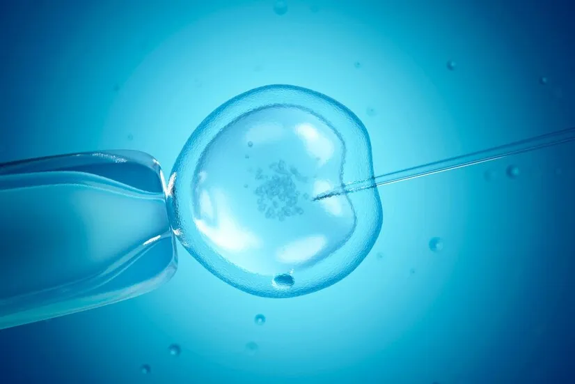 The Embryonic Olympics: Making Our Embryos for IVF