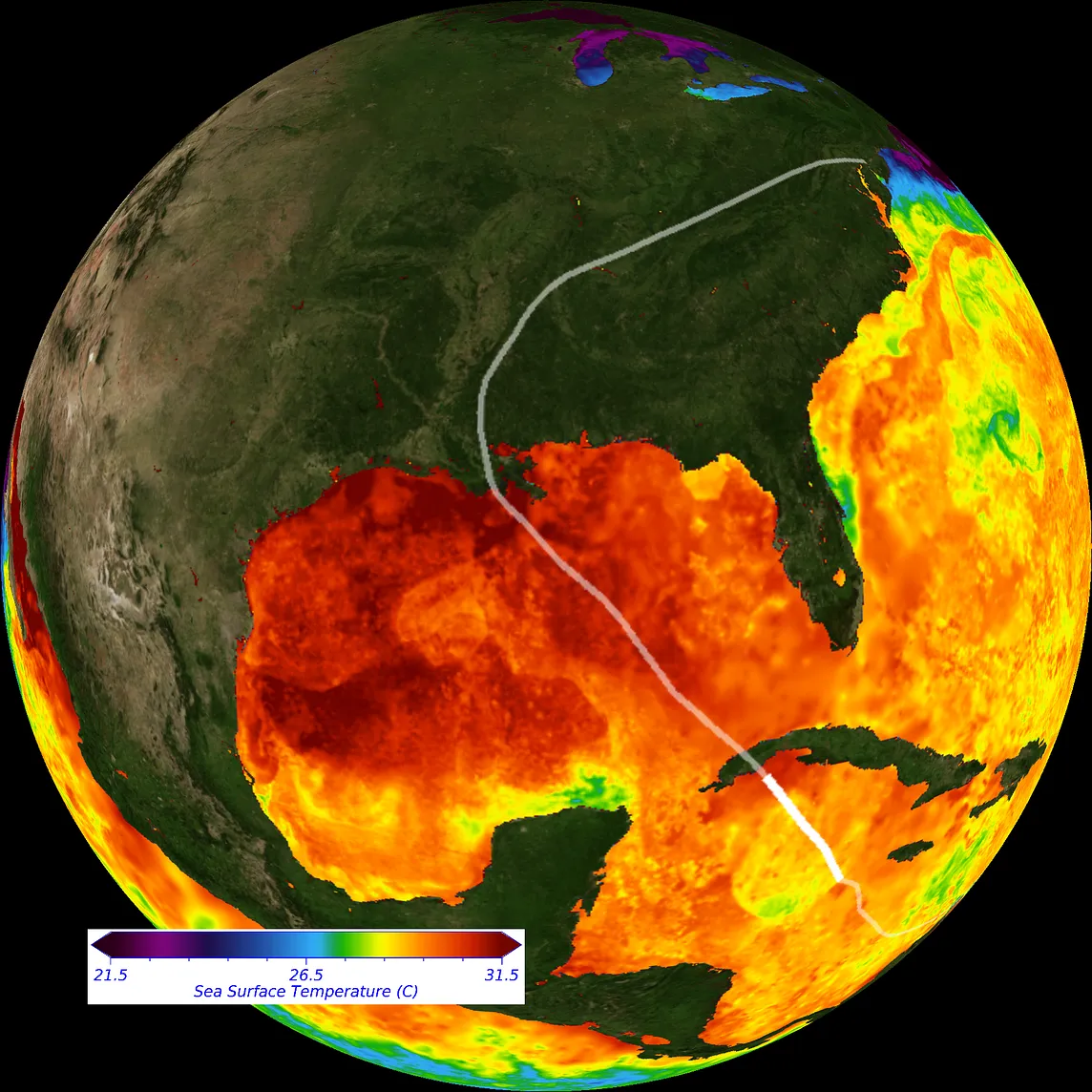 The ocean fueled Hurricane Ida’s explosive growth