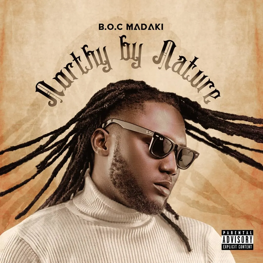 A Review Of Northy By Nature By B.O.C Madaki