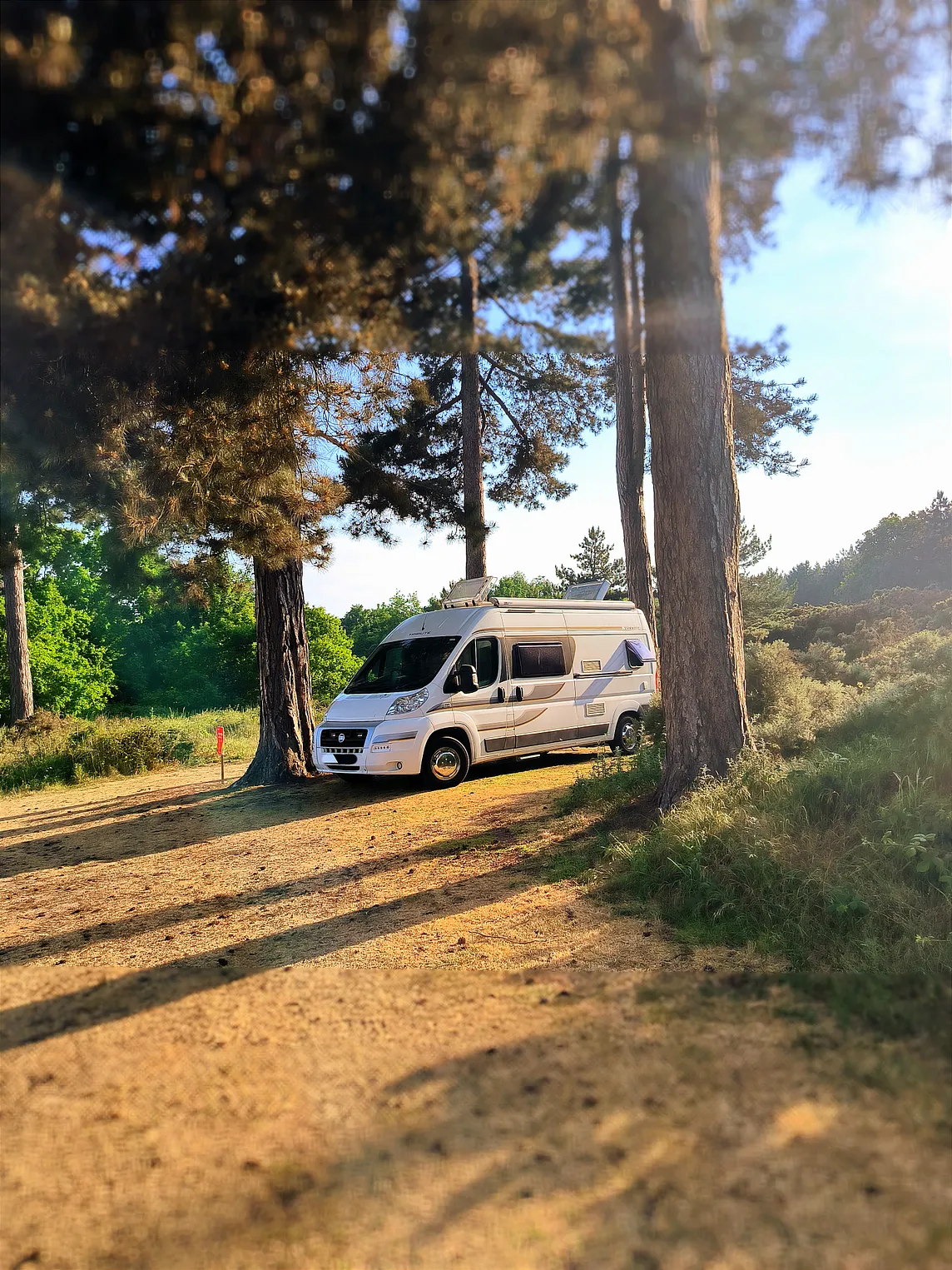 Campervan underneath the trees in the sunset