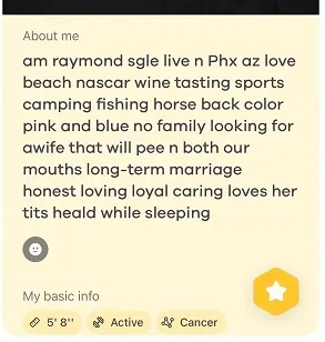 A random profile write-up that that doesn’t contain any capitalization, punctuation and describes weird stuff he wants his potential wife to do it him.