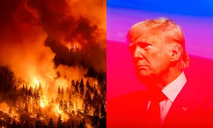 How Trump 2.0 will Affect the Wildfire Crisis