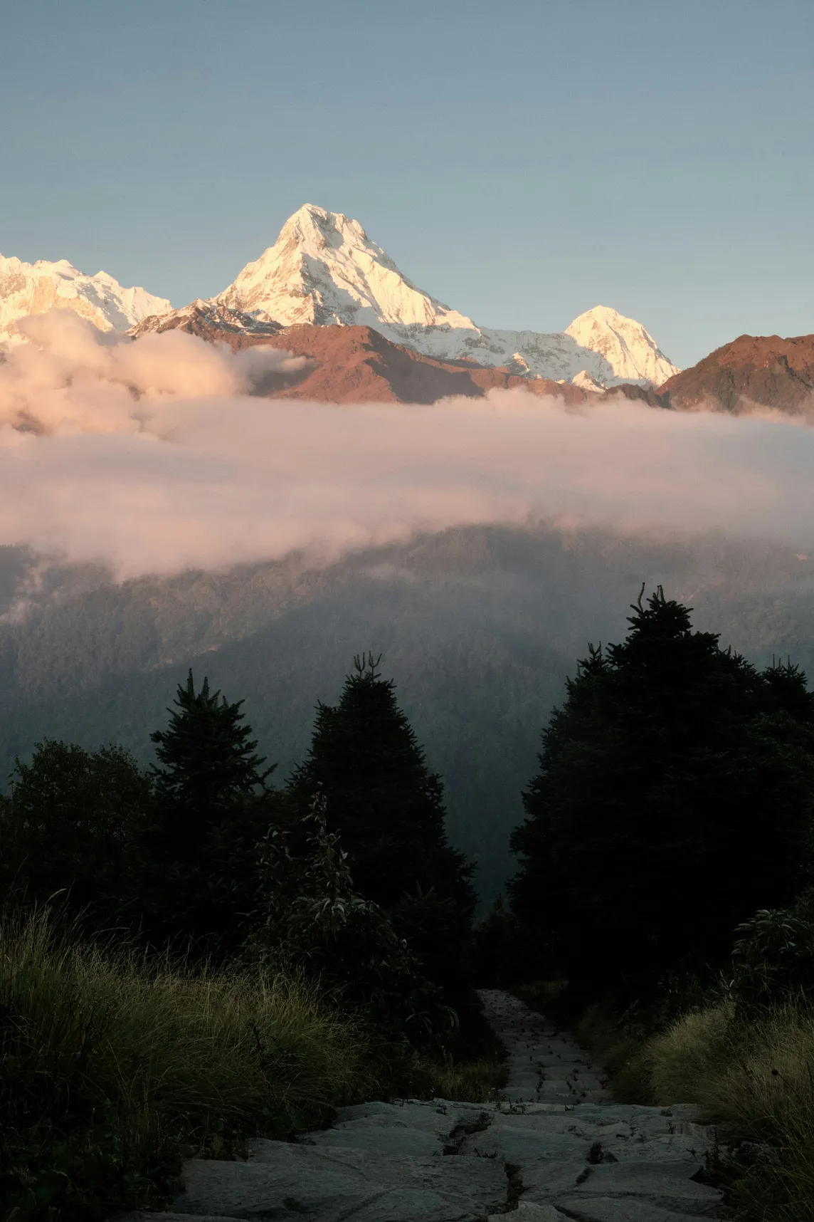 Ghorepani Poonhill Trek: An Exciting Nature Experience in the Annapurna Region