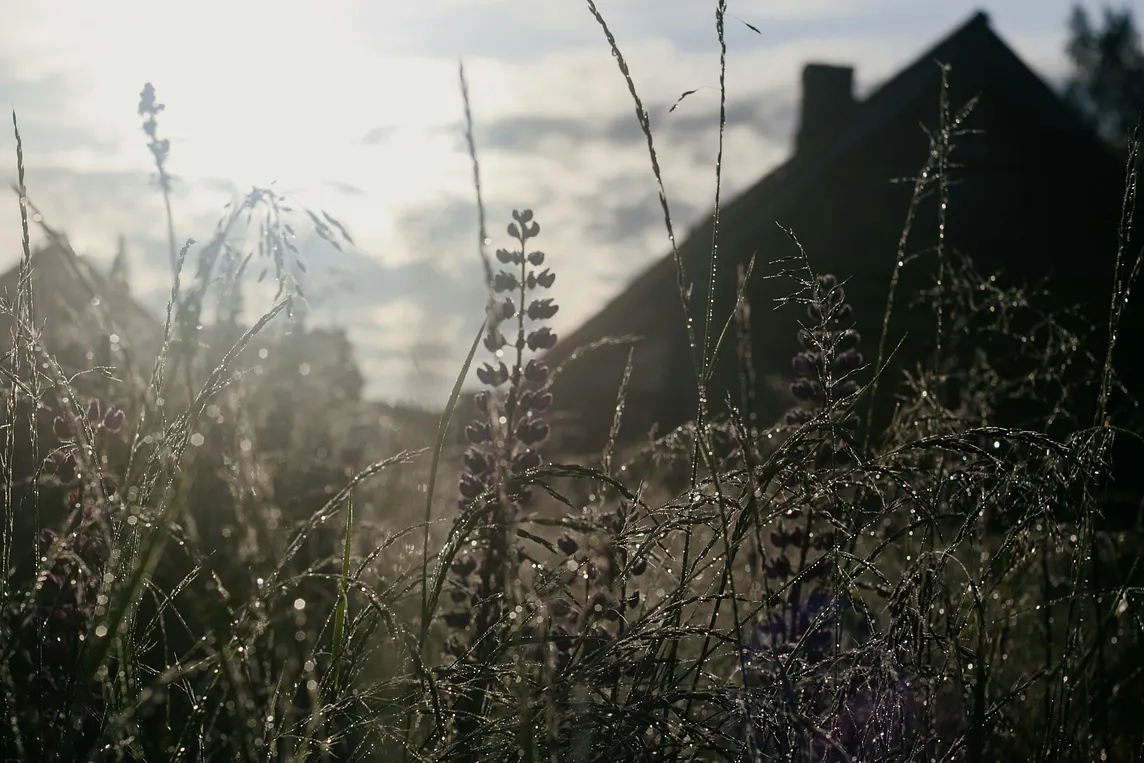 the more you pay attention