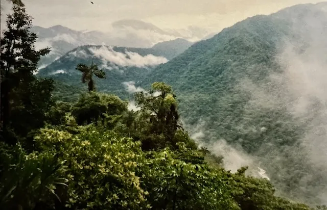 Braulio Carrillo Cloud Forest, Costa Rica. Trees in foreground, mountains and clouds in back.