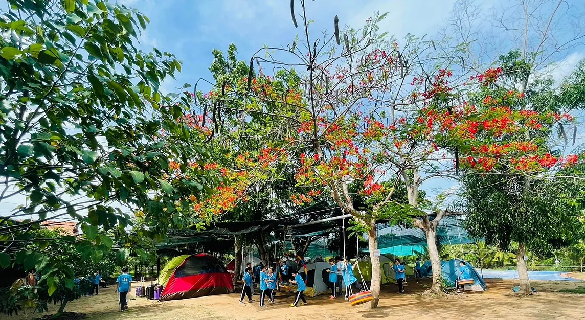 Campsite Playground with tree and shade