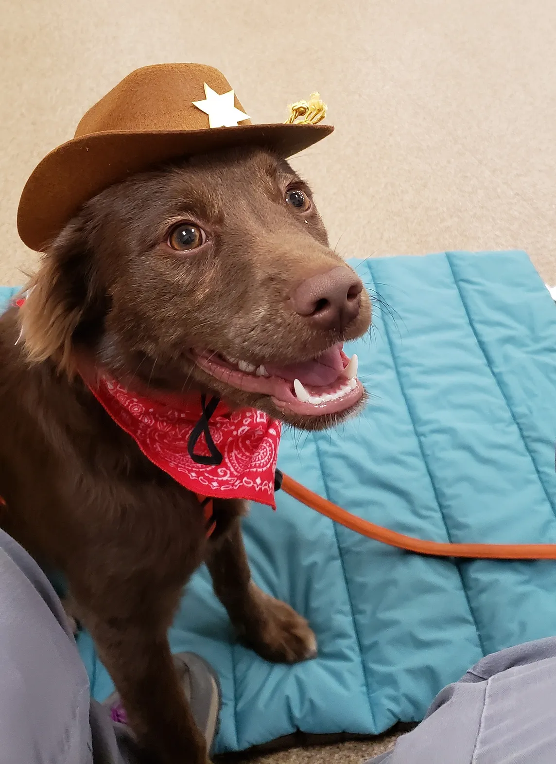 Dallas in his Sheriff’s outfit.