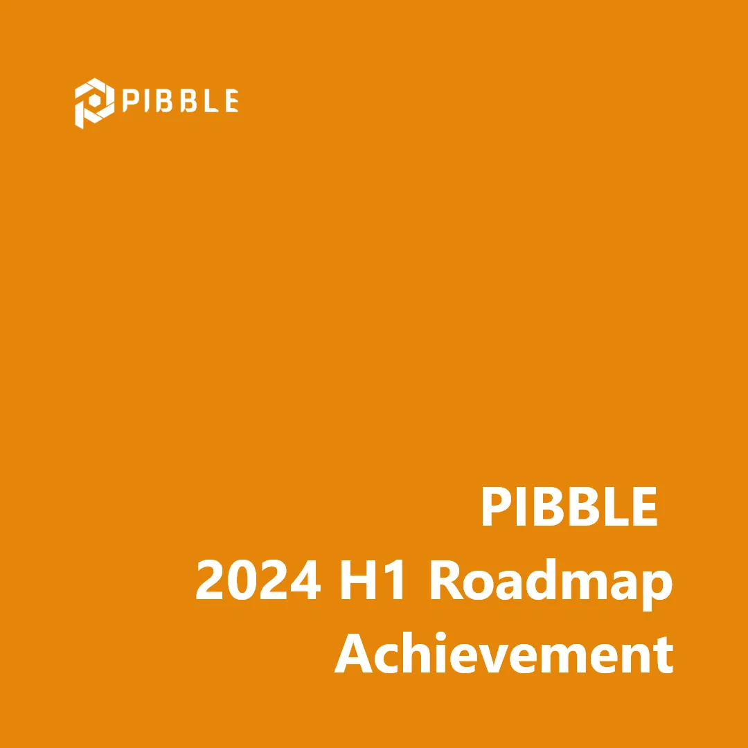 AI PIBBLE Achieves First Half of 2024 Project Roadmap and Unveils Second Half Expansion Roadmap