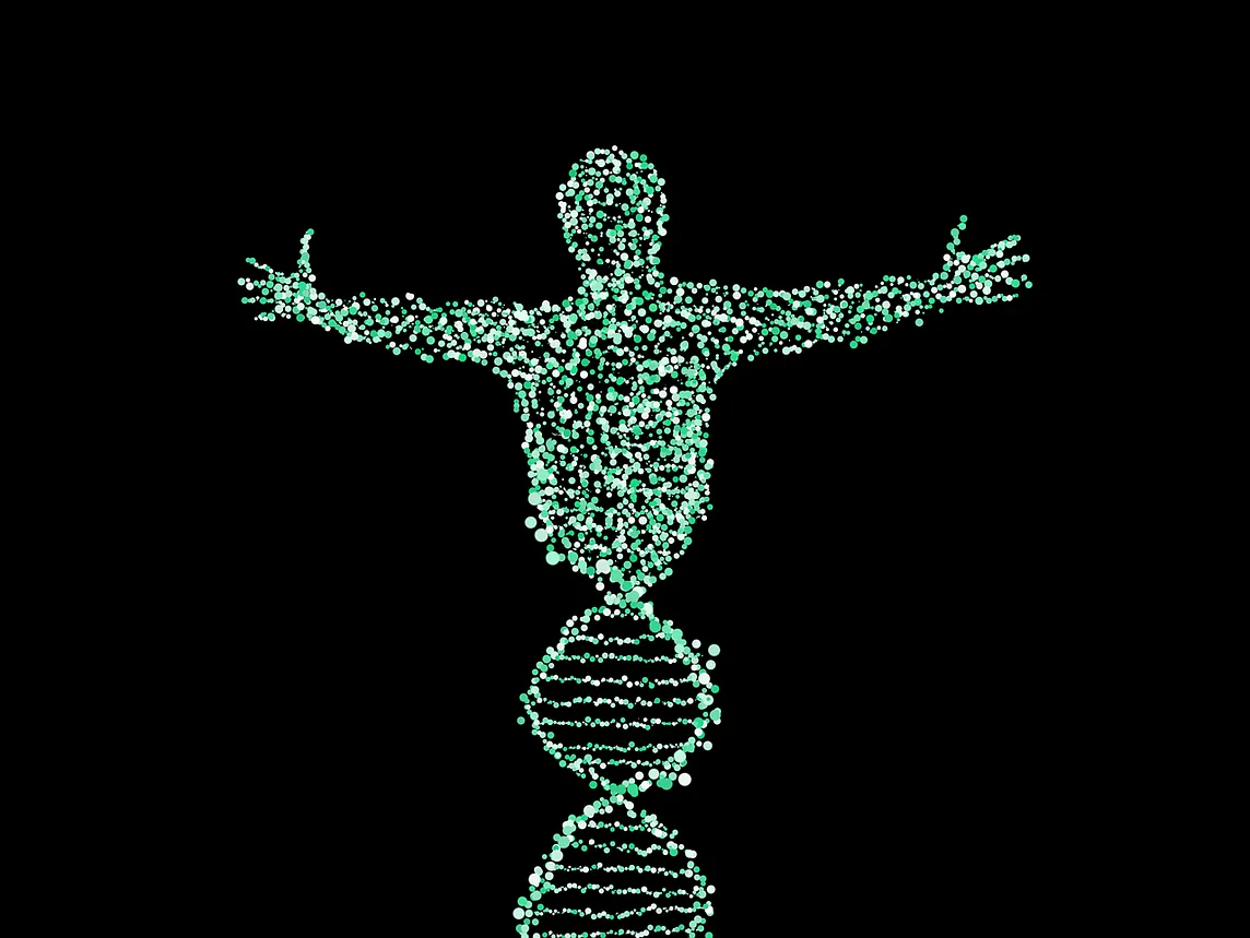 Sry, Not Sry: Why Chromosomes Are Not Always a Reliable Indicator of Sex