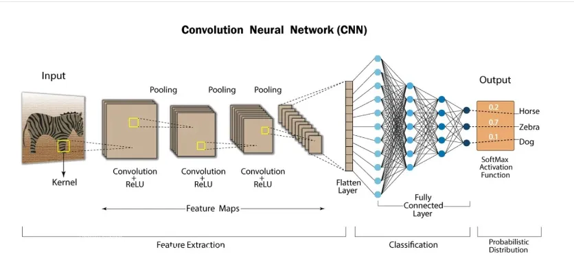 Basics of CNN in Deep Learning