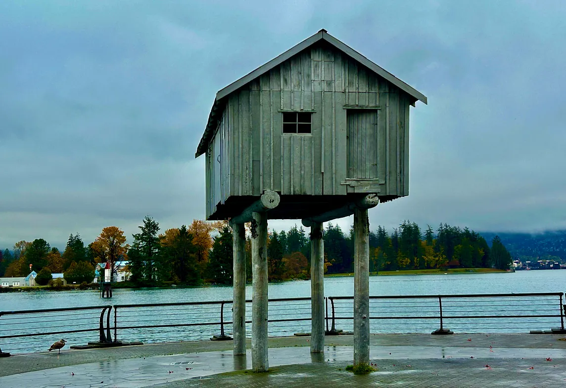 A small building sits on top of four long legs on the shore with the ocean behind it. Behind the water are trees in the distance.