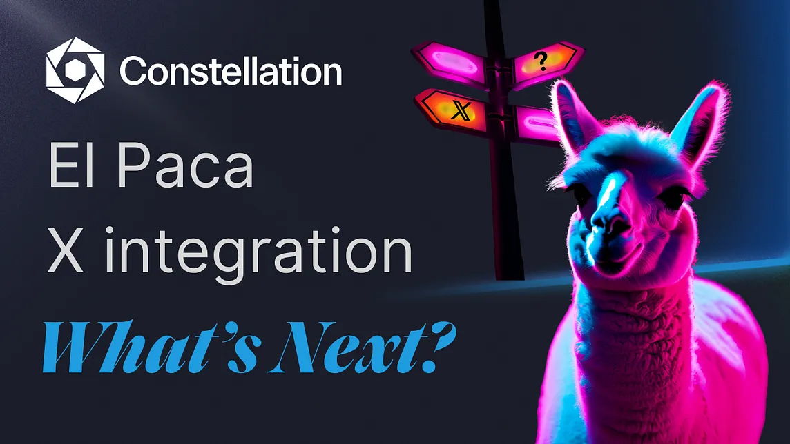 Constellation Network’s El Paca Metagraph & X Integration: What’s Next?