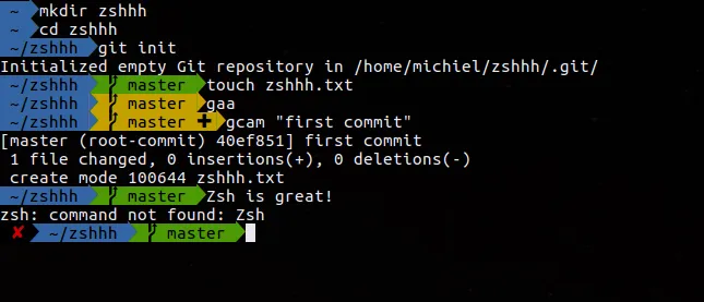 Zsh and oh-my-zsh on Windows via Git Bash