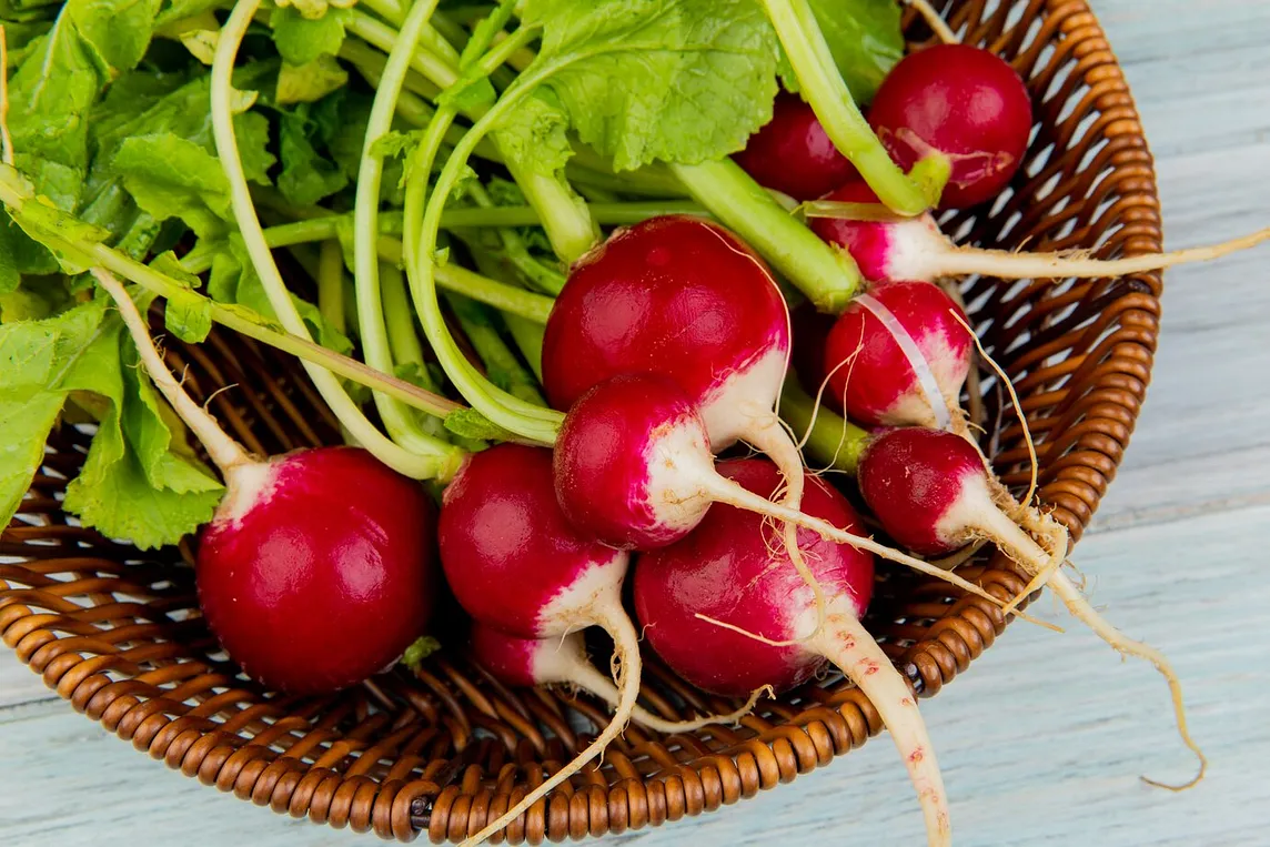 The Nutritional Benefits of Radish for Men’s Health