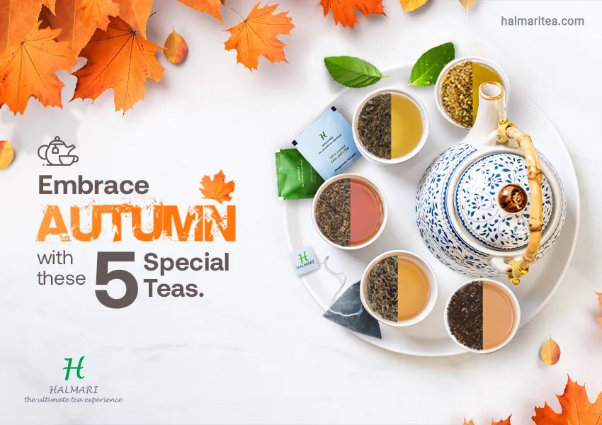 5 Types Of Halmari Teas As Your Best Autumn Partner