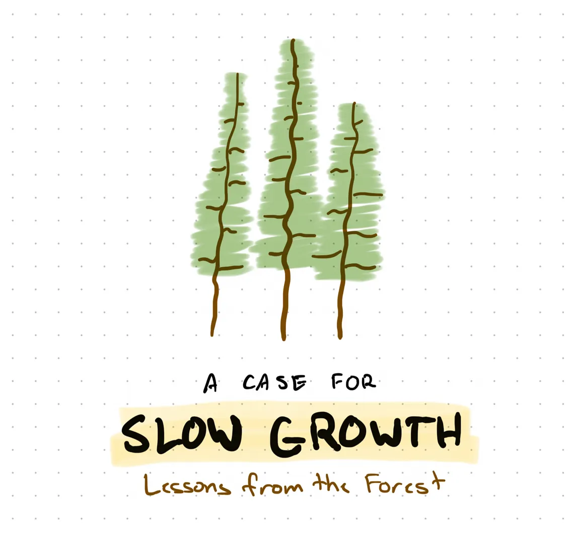 Three hand drawn tall pine trees with text reading “A case for slow growth: lessons from the forest”