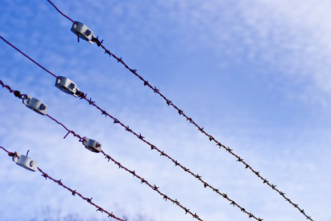 Barbed wire against a blue sky.