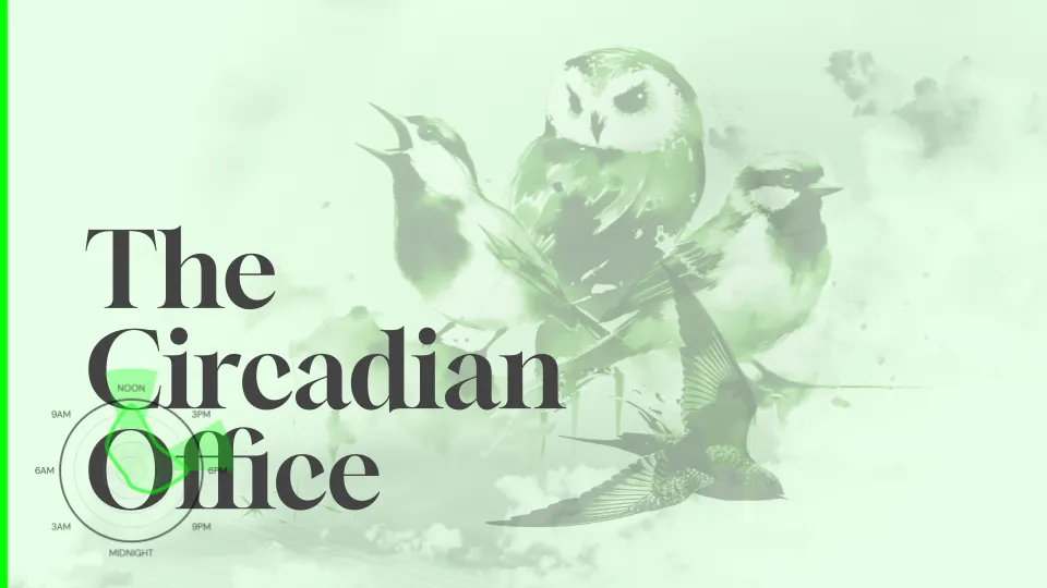 The circadian office
