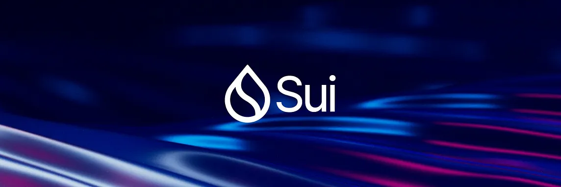 Sui Network: Recent Advances and Future Trends