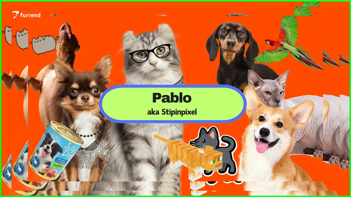 Pablo: Art, Pets, and Creative Mischief