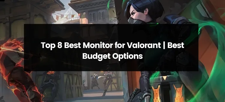 Top 8 Best Monitor for Valorant | 2024 | Best Picks