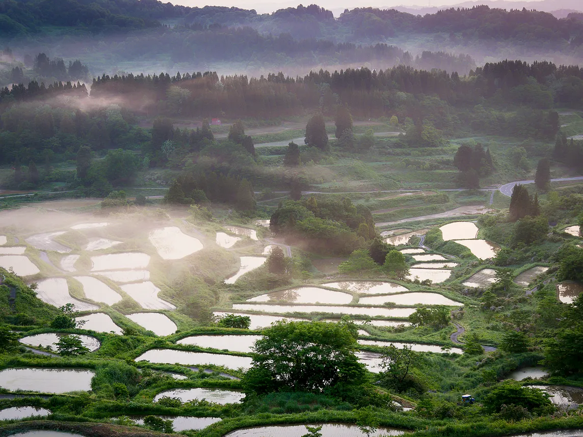 Dusk ’Til Dawn in the Rice Terraces of Niigata