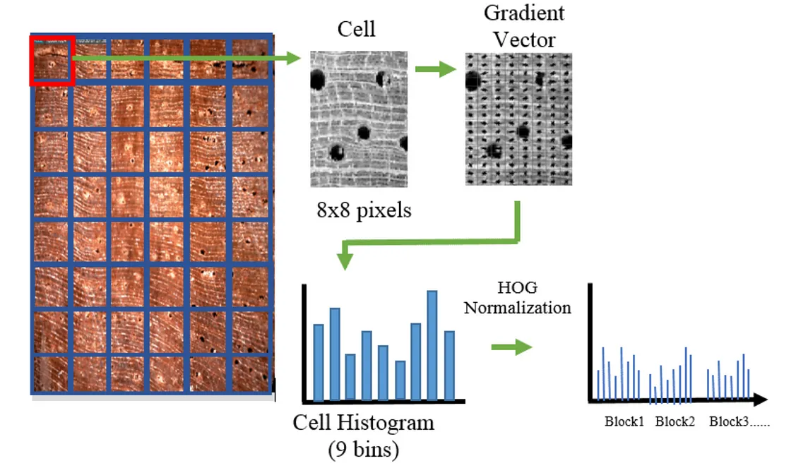 HOG (Histogram of Oriented Gradients): An Amazing Feature Extraction Engine for Medical Images