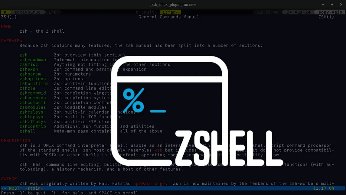 Some ZSH Config Ideas for Devs