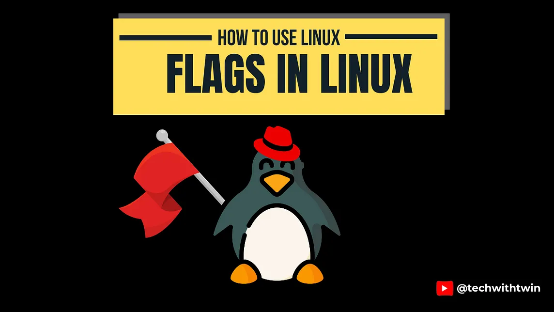 What are Flags In Linux