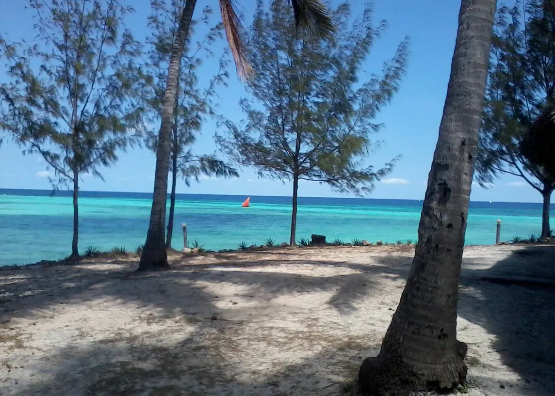 A red-colored sailboat just off the coast of Pemba — the sea is various shades of blue and there are trees growing from white sand in the foreground.