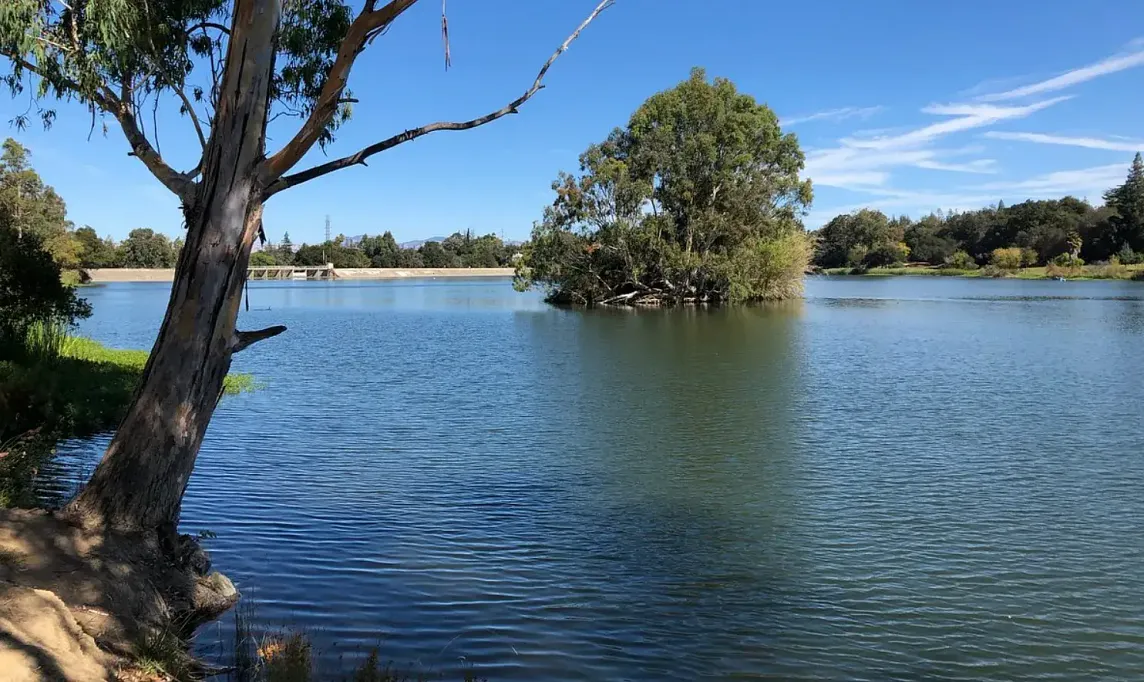 Outdoor Adventures Await: Uncovering Vasona Lake County Park in Los Gatos, CA