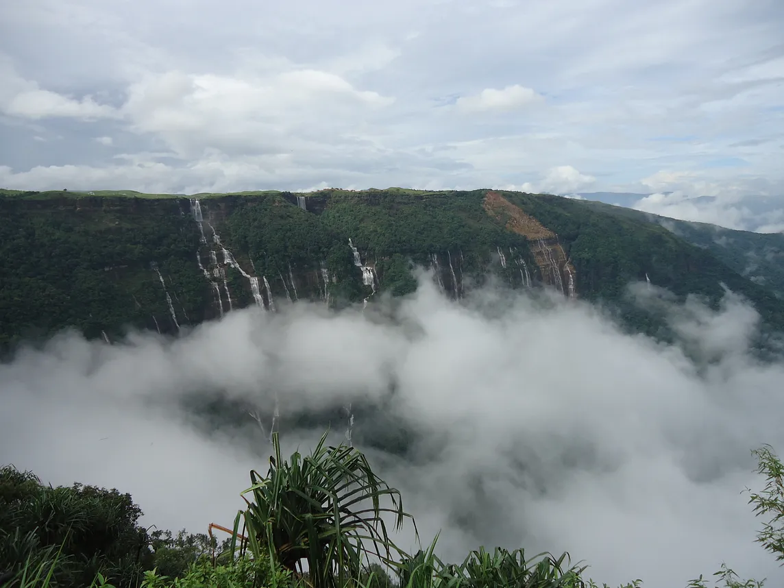 Meghalaya: Flora and Fauna