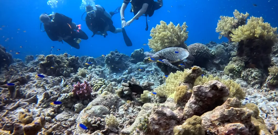 Liveaboard dive trip — 6D in the open seas without internet