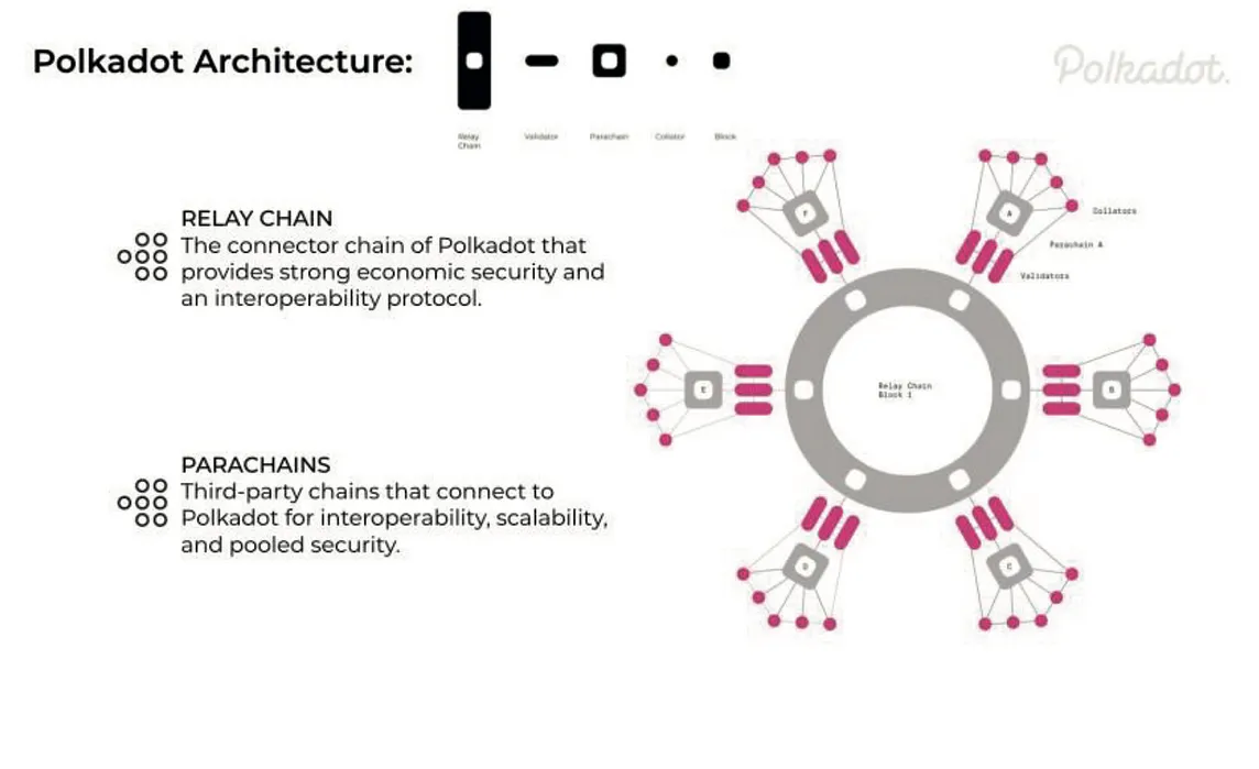 The relay chain in Polkadot