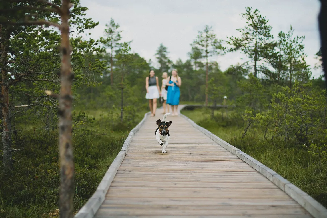 How Walkways and Pavements can Amplify your Outdoor Architecture