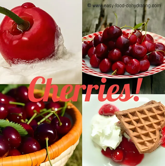 Cherry on Top: A Guide to Dehydrating Cherries