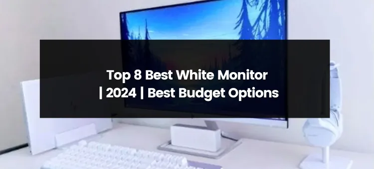 Top 8 Best White Monitor for 2024 | Best Budget Options