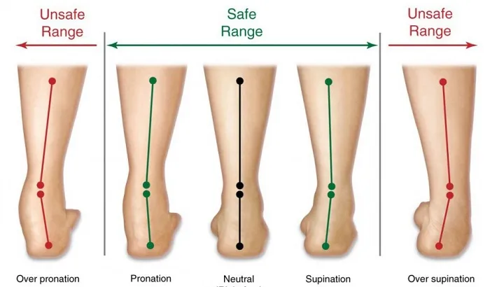 Understanding Pronation: A Comprehensive Guide