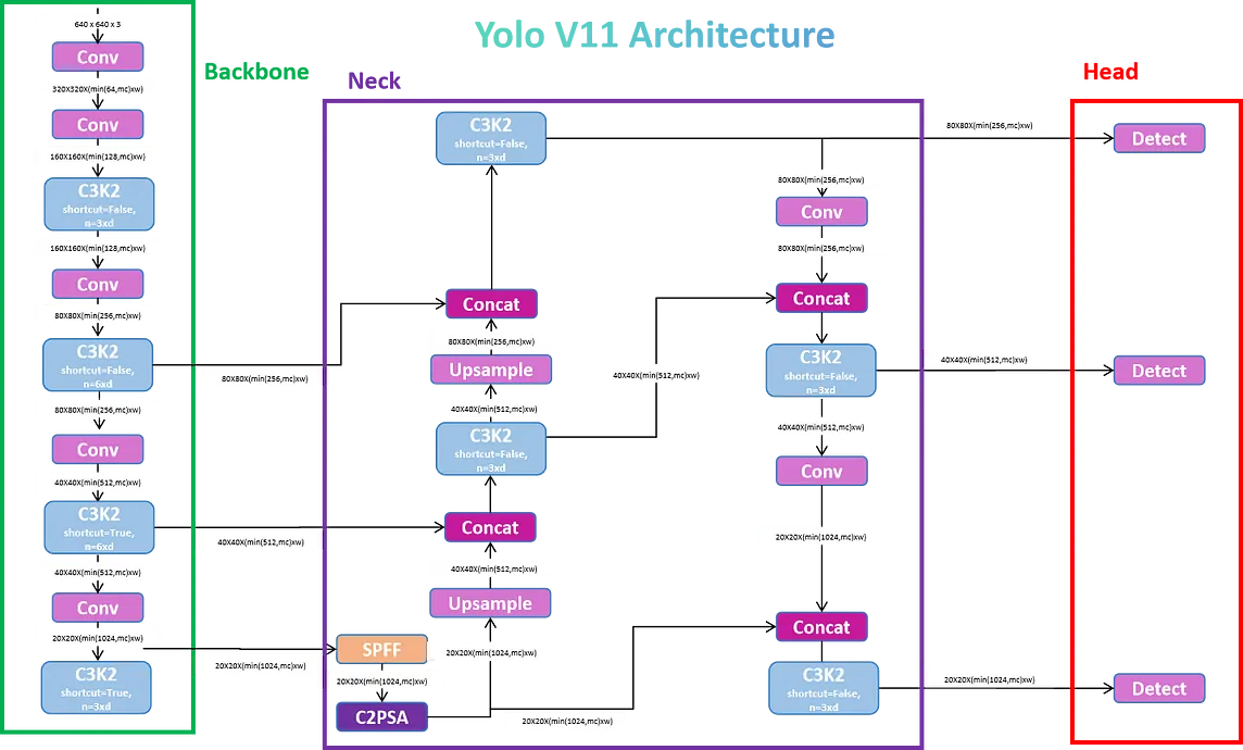 YOLOv11 Explained: Next-Level Object Detection with Enhanced Speed and Accuracy