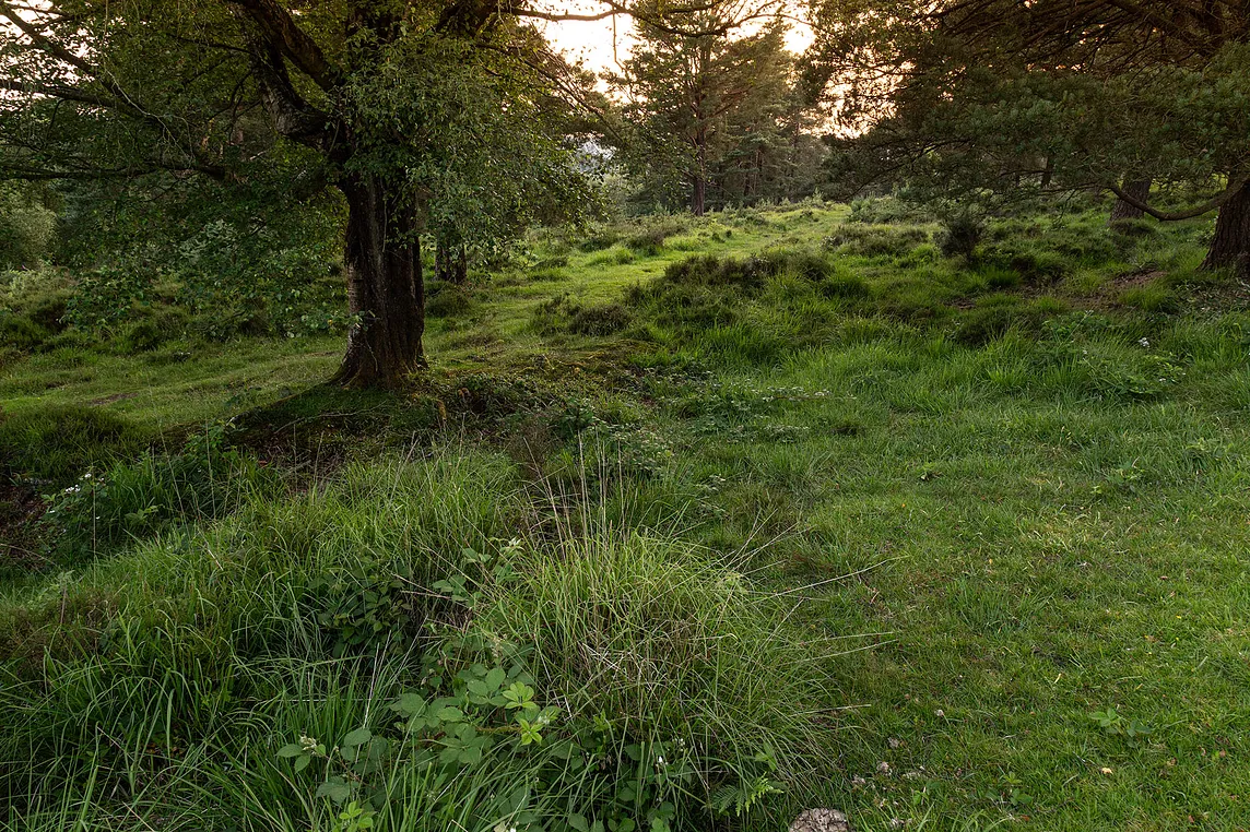 Old Lodge, West Sussex