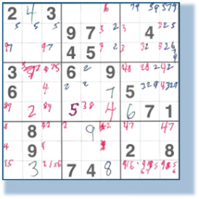 The Seductive Allure of Sudoku