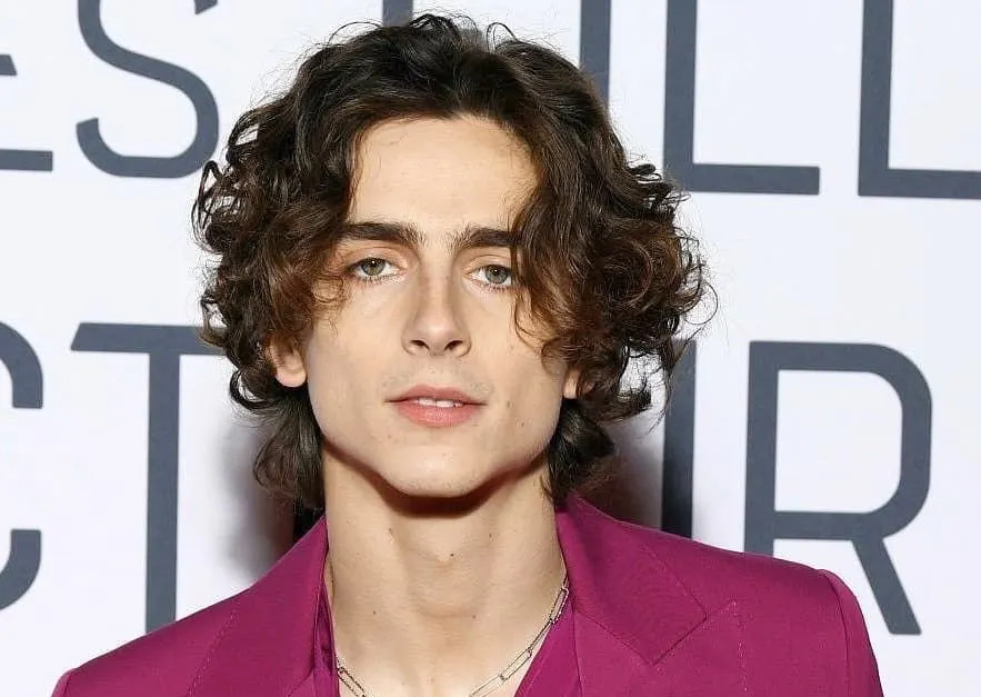 The most insightful stories about Timothee Chalamet Medium(00)