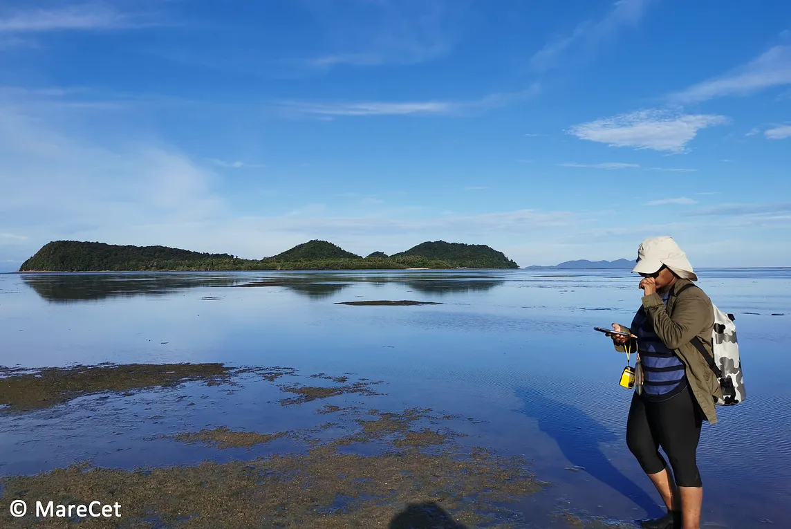 Marine mammalogists get their hands (and feet) muddy with dugong grub