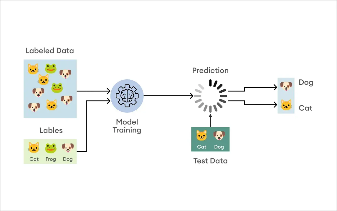 HOG vs. CNN “Unveiling the Power of Image Classification”