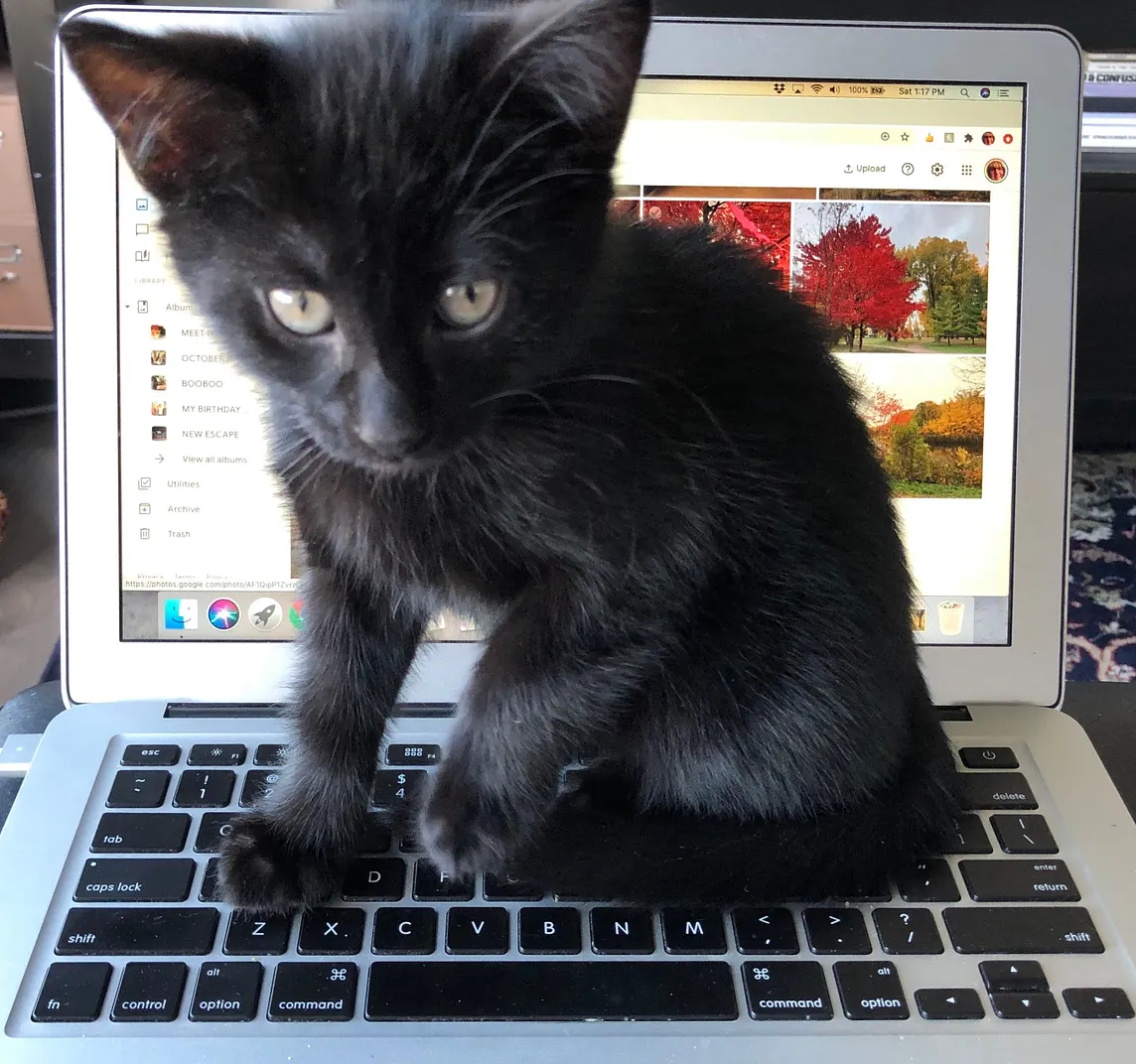 6 Essential Strategies That Differentiate Between Helping and Hindering Learning