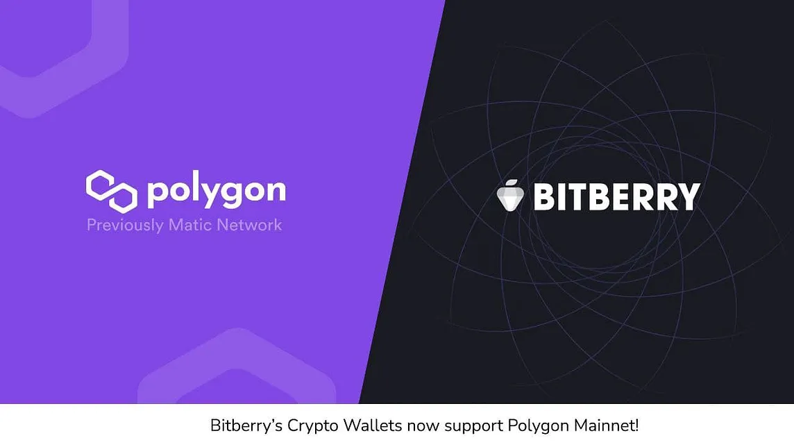 Bitberry X Polygon Announces Strategic Partnership