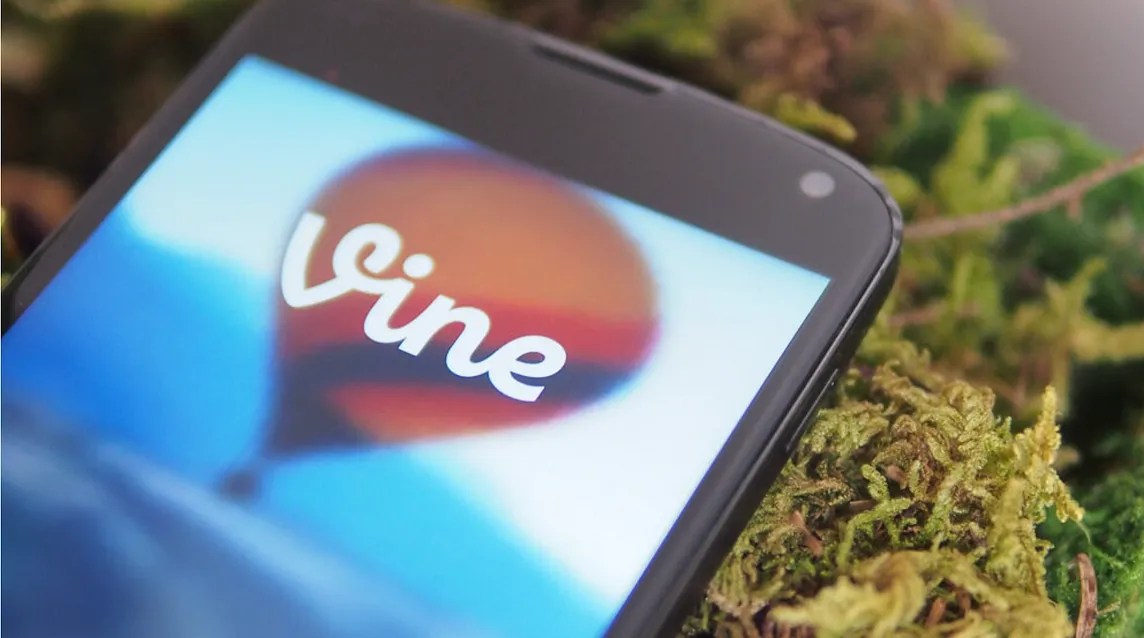 The Rise and Fall of Vine